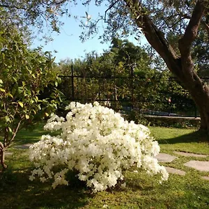 Bed and breakfast La Vie Est Belle, Finale Ligure